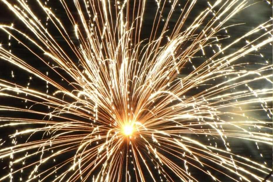 fuegos artificiales perros fobia miedo tratamiento